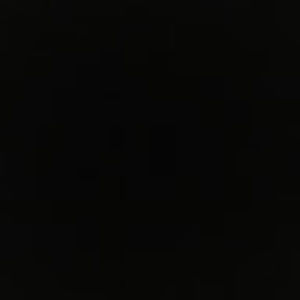 Meet your Posher, Timothy